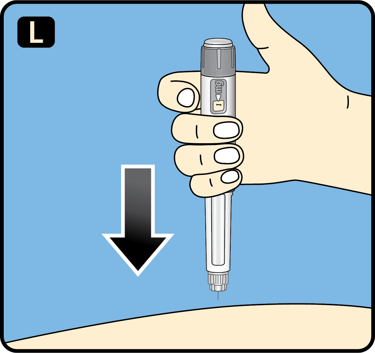 Step 12