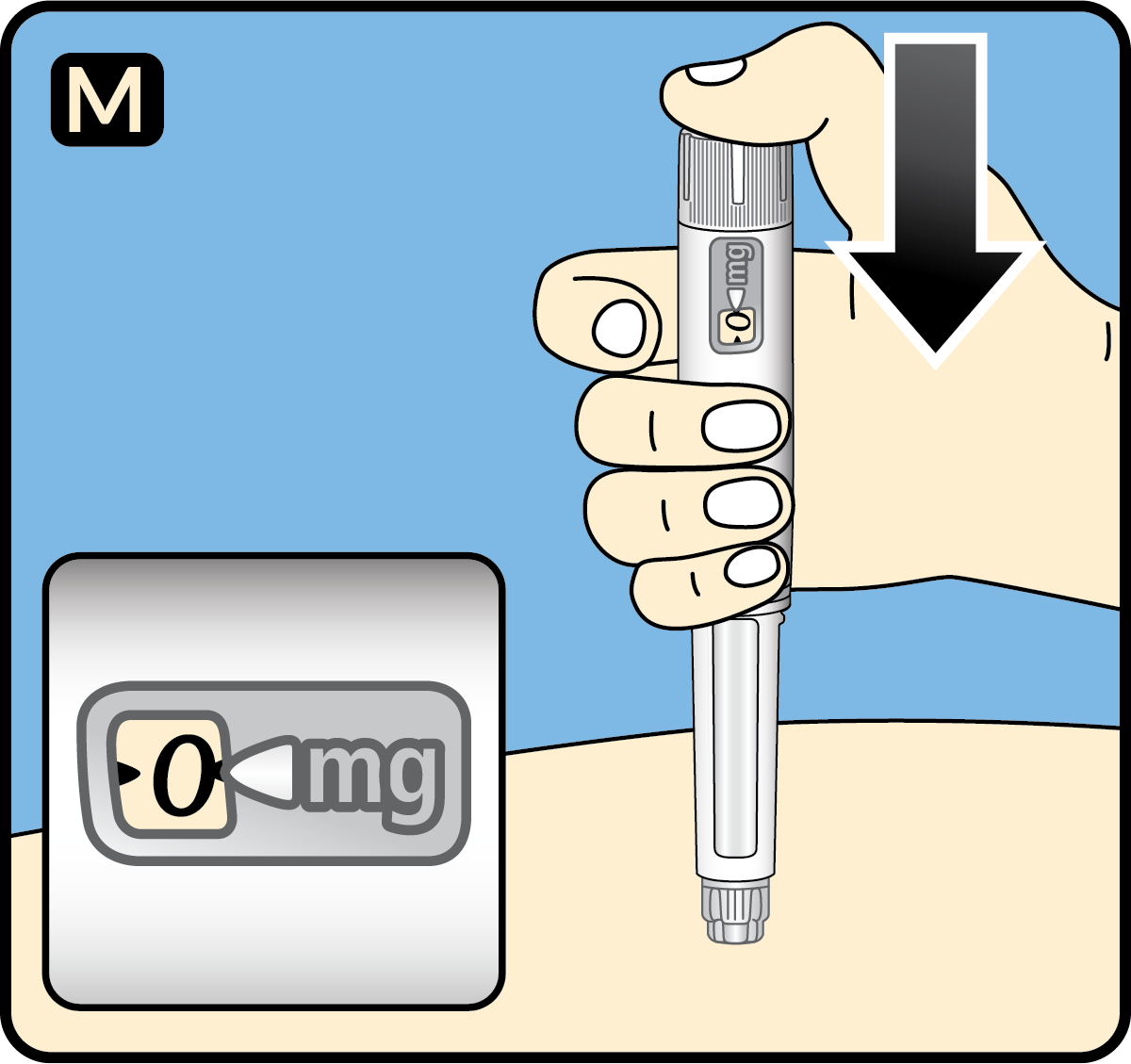 Step 13